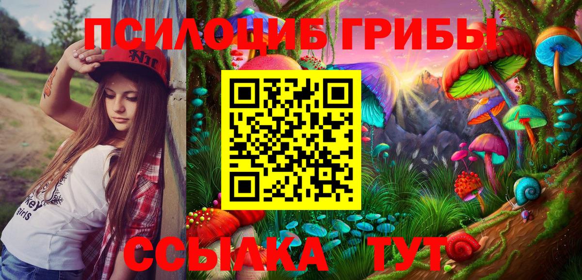 Псилоцибиновые грибы мицелий Старая Купавна